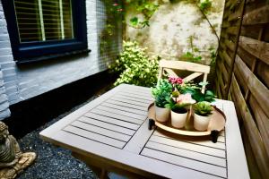 a table with potted plants on top of it at Casa del Queso in Alkmaar