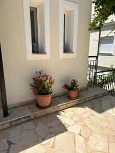 Balkon ili terasa u objektu House with View in Mega Ammos