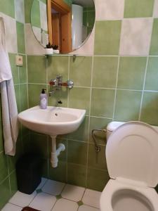 Koupelna v ubytování Vilka Tkáč + 28 fotografií