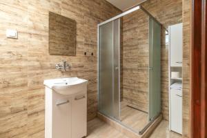 a bathroom with a shower and a sink at WDZYDZANIN in Wdzydze Tucholskie