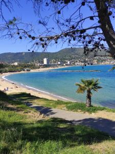 Příroda nedaleko apartmánu