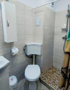 a bathroom with a toilet and a shower at Stile CAPRI Studio cu terasă ALFA Saturn in Saturn +18 photos