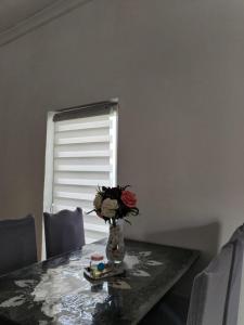 Posezení v ubytování Sobe Išić