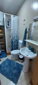 a bathroom with a sink and a toilet and a shower at Knezevic House in Gevgelija +31 photos