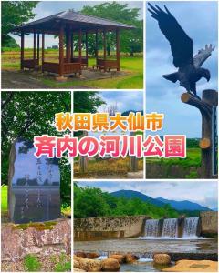 大仙市Hotel DOLPHIA-Adult Only的相册照片