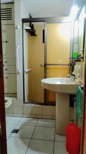 a bathroom with a shower and a sink and a toilet at Habitación silenciosa Nº2 en Dpto Compartido in Cordoba