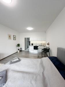 Ένα ή περισσότερα κρεβάτια σε δωμάτιο στο DMR APARTMENTS Parkview