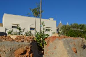 Fotografie z fotogalerie ubytování B&B Fuga al Trullo v destinaci Ostuni
