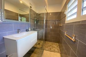 a bathroom with a sink and a glass shower at 972M Beautiful air-conditioned villa with garden in Le Carbet