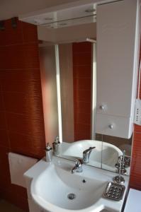 a bathroom with a white sink and a mirror at Apartments Boscarin in Buje