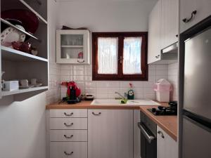 Kuchyň nebo kuchyňský kout v ubytování Fousa Home
