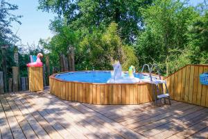 a pool with two swans in it on a deck at Le Petit Soleil in Isserpent