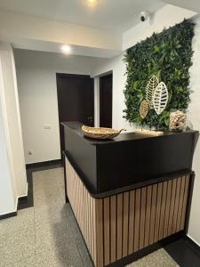 a kitchen with a counter with a green wall at Vila Sofia in Eforie Nord