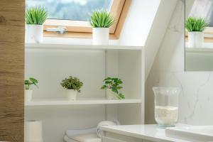 a bathroom with a window with potted plants on shelves at Mountain Palace Tatra Resort & SPA in Kościelisko +45 photos