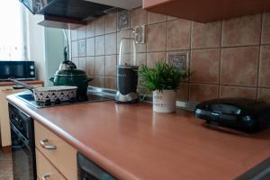 Gallery image of Favorite Family & Dining Gem in Skopje in Skopje