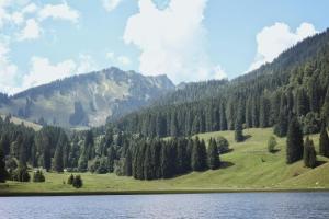 a mountain with trees and a lake in the foreground at Ferienwohnung "Seeluft" - Raus in die Berge und an den See in Schliersee