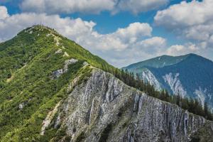 a mountain with trees on top of it at Ferienwohnung "Seeluft" - Raus in die Berge und an den See in Schliersee +7 photos