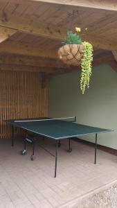 a ping pong table with a plant hanging from it at Apartmány MarAqua in Liptovský Trnovec