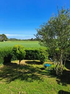 a field with trees and a chair in the grass at Wanatan Chambre Deluxe in Penmarch