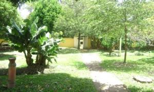 a yard with a tree and a house with a building at Hotel Arbom in Mogi Guaçu
