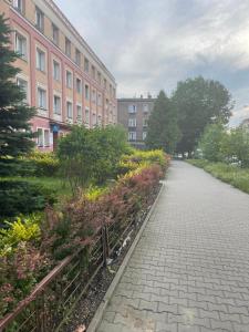 Zahrada ubytování Tiny Studio Pyskowice with parking