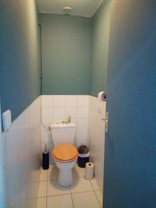 a bathroom with a toilet with a wooden seat at Les Coquillages in Essoyes +12 photos