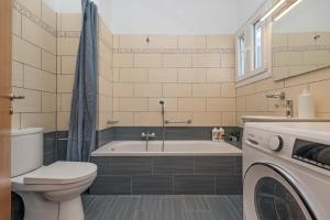 a bathroom with a tub and a toilet and a washing machine at Vasilis Modern Apartments in Alepou +8 photos