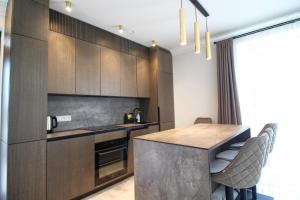 Η κουζίνα ή μικρή κουζίνα στο Genys luxury apartamentai 2