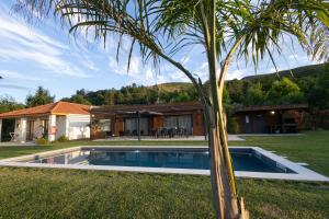 a palm tree in front of a house with a swimming pool at Refúgio das Oliveiras, Mondim de Bastos in Mondim de Basto