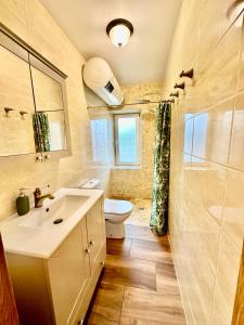 a bathroom with a sink and a toilet at Rožu namu apartamenti 2 in Kuldīga