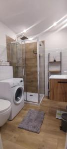 Ένα μπάνιο στο Apartament Lubin