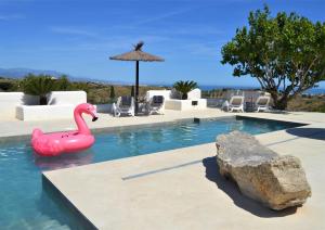 ein Pool mit einem rosa Flamingo im Wasser in der Unterkunft Ecovilla in Benajarafe