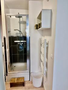 a shower with a glass door in a bathroom at « Le City » proche aéroport CDG, Parc Astérix, Disney, in Dammartin-en-Goële +20 photos