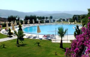 a large swimming pool with chairs and palm trees at Lakeside Garden Holiday Village in Bogazici