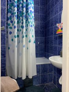 Kamar mandi di Apartman tvrdjava