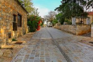 Il quartiere o una zona nella vicinanze dell'ostello
