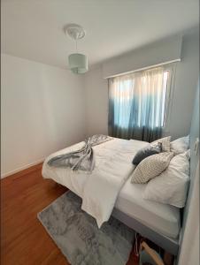 a bedroom with a large bed with a window at Belle maison avec jardin ! in Bezannes-les-Reims