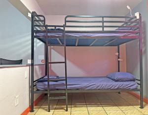 Palanda nebo palandy na pokoji v ubytování Sin City Hostel