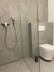 a shower in a bathroom with a toilet at AR MYKONOS oasis in Košice +11 photos