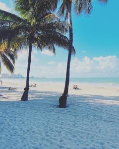 2 palmiers sur une plage de sable avec l'océan dans l'établissement Acogedor Alojamiento Turístico Isla Verde, à San Juan
