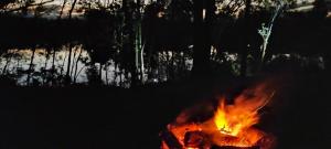 尤朗加The Glade, peace among the trees on the river的相册照片