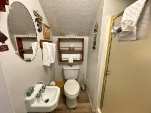 un piccolo bagno con un water e un lavandino di Valley Condo 112 - Creekside - WiFi - Pet Friendly - Hot Tub - Fireplace - Washer - Dryer - Playground a Red River