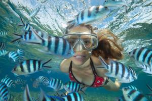 a woman swimming in the water with fish at BougainVilla Savusavu in Savusavu