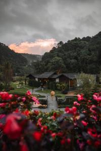 山景或在度假酒店看到的山景