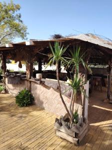 En have udenfor Villa Santa Ana