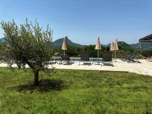 a tree in the grass with chairs and umbrellas at Eco Villas Merak in Virpazar
