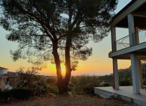 a tree in front of a house with the sunset at Villa Gallo - Seminterrato luminoso in Capoterra
