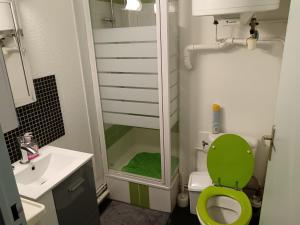 a bathroom with a green toilet and a sink at Petit appartement bord de mer in Fleury