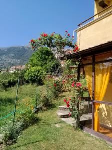 Vista generica sulle montagne o vista sulle montagne dall'interno dell'appartamento