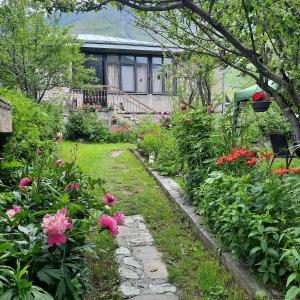 A garden outside GIO-NIKA